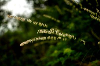 Make: NIKON CORPORATION
Model: NIKON Z 5
DateTimeOriginal: 2024:05:23 16:46:51
ISOSpeedRatings: 560
LensModel: NIKKOR Z 24-50mm f/4-6.3
ExposureTime: 0.005
FocalLength: 50.0
FNumber: 6.3
