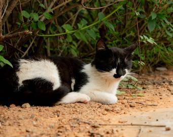 Make: NIKON CORPORATION
Model: NIKON Z 5
DateTimeOriginal: 2024:05:23 18:19:50
ISOSpeedRatings: 2200
LensModel: NIKKOR Z 24-50mm f/4-6.3
ExposureTime: 0.04
FocalLength: 50.0
FNumber: 6.3