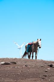 Make: NIKON CORPORATION
Model: NIKON D90
DateTimeOriginal: 2024:05:03 13:07:23
ISOSpeedRatings: 200
LensModel: 18.0-105.0 mm f/3.5-5.6
ExposureTime: 0.0025
FocalLength: 105.0
FNumber: 10.0
