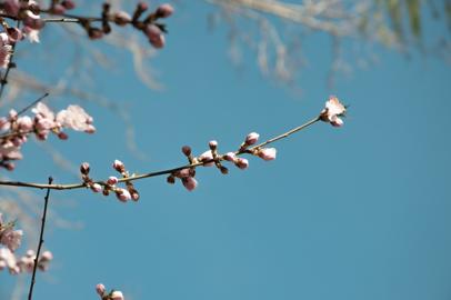 Make: NIKON CORPORATION
Model: NIKON D90
DateTimeOriginal: 2024:03:31 15:02:14
ISOSpeedRatings: 200
LensModel: 18.0-105.0 mm f/3.5-5.6
ExposureTime: 0.0025
FocalLength: 105.0
FNumber: 9.0
