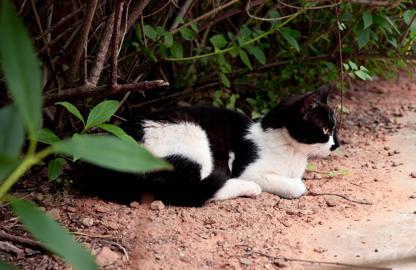 Make: NIKON CORPORATION
Model: NIKON Z 5
DateTimeOriginal: 2024:05:23 18:20:21
ISOSpeedRatings: 2500
LensModel: NIKKOR Z 24-50mm f/4-6.3
ExposureTime: 0.04
FocalLength: 50.0
FNumber: 6.3