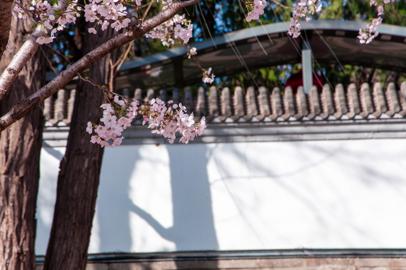 Make: NIKON CORPORATION
Model: NIKON D90
DateTimeOriginal: 2024:03:31 16:20:33
ISOSpeedRatings: 200
LensModel: 18.0-105.0 mm f/3.5-5.6
ExposureTime: 0.0025
FocalLength: 105.0
FNumber: 10.0
