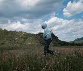 Make: NIKON CORPORATION
Model: NIKON Z 5
DateTimeOriginal: 2024:06:08 13:52:30
ISOSpeedRatings: 180
LensModel: NIKKOR Z 24-50mm f/4-6.3
ExposureTime: 0.00125
FocalLength: 50.0
FNumber: 8.0
