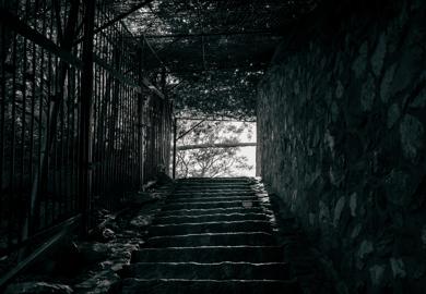 Make: NIKON CORPORATION
Model: NIKON Z 5
DateTimeOriginal: 2024:06:01 16:02:13
ISOSpeedRatings: 100
LensModel: NIKKOR Z 24-50mm f/4-6.3
ExposureTime: 0.01
FocalLength: 35.0
FNumber: 5.0
