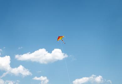 Make: NIKON CORPORATION
Model: NIKON Z 5
DateTimeOriginal: 2024:06:08 13:57:55
ISOSpeedRatings: 125
LensModel: NIKKOR Z 24-50mm f/4-6.3
ExposureTime: 0.00125
FocalLength: 50.0
FNumber: 8.0
