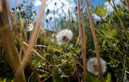 Make: NIKON CORPORATION
Model: NIKON Z 5
DateTimeOriginal: 2024:06:08 15:50:56
ISOSpeedRatings: 140
LensModel: NIKKOR Z 24-50mm f/4-6.3
ExposureTime: 0.001
FocalLength: 24.0
FNumber: 6.3
