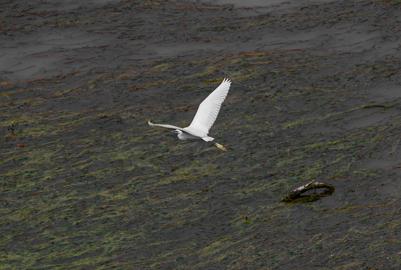 Make: NIKON CORPORATION
Model: NIKON Z 5
DateTimeOriginal: 2024:07:13 15:38:48
ISOSpeedRatings: 1000
LensModel: TAMRON 70-300mm F/4.5-6.3 Di III RXD A047Z
ExposureTime: 0.0008
FocalLength: 300.0
FNumber: 8.0