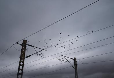 Make: NIKON CORPORATION
Model: NIKON Z 5
DateTimeOriginal: 2024:07:30 17:57:47
ISOSpeedRatings: 500
LensModel: NIKKOR Z 24-50mm f/4-6.3
ExposureTime: 0.0015625
FocalLength: 31.5
FNumber: 5.0