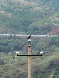 Make: NIKON CORPORATION
Model: NIKON Z 5
DateTimeOriginal: 2024:07:30 17:16:51
ISOSpeedRatings: 720
LensModel: TAMRON 70-300mm F/4.5-6.3 Di III RXD A047Z
ExposureTime: 0.005
FocalLength: 300.0
FNumber: 11.0