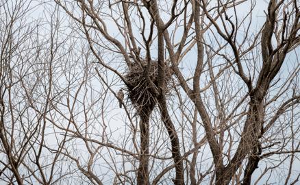 Make: NIKON CORPORATION
Model: NIKON Z 5
DateTimeOriginal: 2024:08:01 10:19:54
ISOSpeedRatings: 100
LensModel: TAMRON 70-300mm F/4.5-6.3 Di III RXD A047Z
ExposureTime: 0.00625
FocalLength: 300.0
FNumber: 11.0