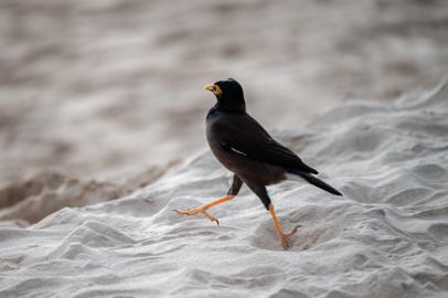 Make: NIKON CORPORATION
Model: NIKON Z 5
DateTimeOriginal: 2024:08:06 17:41:47
ISOSpeedRatings: 250
LensModel: TAMRON 70-300mm F/4.5-6.3 Di III RXD A047Z
ExposureTime: 0.0015625
FocalLength: 300.0
FNumber: 6.3
