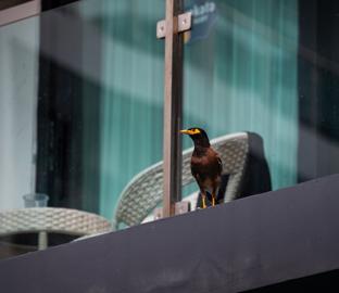 Make: NIKON CORPORATION
Model: NIKON Z 5
DateTimeOriginal: 2024:08:06 16:23:34
ISOSpeedRatings: 110
LensModel: TAMRON 70-300mm F/4.5-6.3 Di III RXD A047Z
ExposureTime: 0.008
FocalLength: 300.0
FNumber: 8.0
