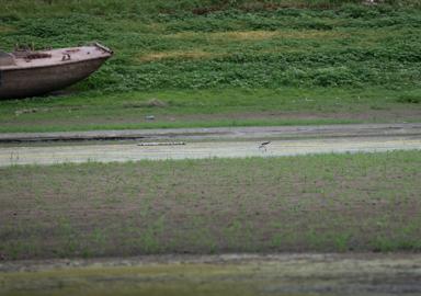 Make: NIKON CORPORATION
Model: NIKON Z 5
DateTimeOriginal: 2024:08:01 11:53:57
ISOSpeedRatings: 140
LensModel: TAMRON 70-300mm F/4.5-6.3 Di III RXD A047Z
ExposureTime: 0.003125
FocalLength: 300.0
FNumber: 8.0
