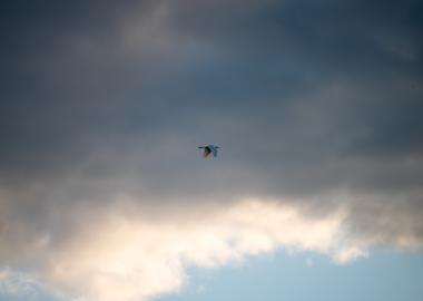 Make: NIKON CORPORATION
Model: NIKON Z 5
DateTimeOriginal: 2024:09:21 17:29:26
ISOSpeedRatings: 640
LensModel: TAMRON 70-300mm F/4.5-6.3 Di III RXD A047Z
ExposureTime: 0.0005
FocalLength: 300.0
FNumber: 6.3
