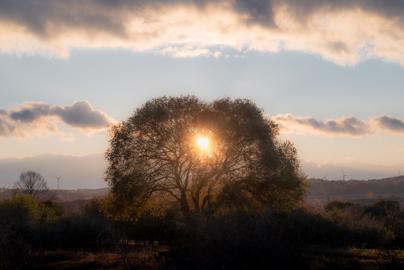 Make: NIKON CORPORATION
Model: NIKON Z 5
DateTimeOriginal: 2024:10:01 17:31:53
ISOSpeedRatings: 110
LensModel: TAMRON 70-300mm F/4.5-6.3 Di III RXD A047Z
ExposureTime: 0.005
FocalLength: 71.0
FNumber: 8.0

