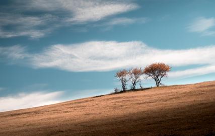 Make: NIKON CORPORATION
Model: NIKON Z 5
DateTimeOriginal: 2024:10:02 10:00:19
ISOSpeedRatings: 450
LensModel: TAMRON 70-300mm F/4.5-6.3 Di III RXD A047Z
ExposureTime: 0.0008
FocalLength: 91.0
FNumber: 7.1
