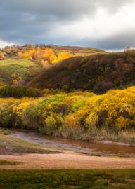 Make: NIKON CORPORATION
Model: NIKON Z 5
DateTimeOriginal: 2024:10:01 15:55:16
ISOSpeedRatings: 720
LensModel: TAMRON 70-300mm F/4.5-6.3 Di III RXD A047Z
ExposureTime: 0.002
FocalLength: 72.0
FNumber: 6.3
