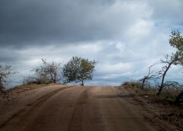 Make: NIKON CORPORATION
Model: NIKON Z 5
DateTimeOriginal: 2024:10:01 14:04:18
ISOSpeedRatings: 200
LensModel: TAMRON 70-300mm F/4.5-6.3 Di III RXD A047Z
ExposureTime: 0.002
FocalLength: 70.0
FNumber: 6.3
