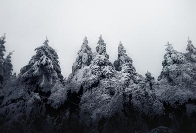 Make: NIKON CORPORATION
Model: NIKON Z 5
DateTimeOriginal: 2024:12:28 17:32:42
ISOSpeedRatings: 140
LensModel: NIKKOR Z 24-50mm f/4-6.3
ExposureTime: 0.008
FocalLength: 25.0
FNumber: 6.3
