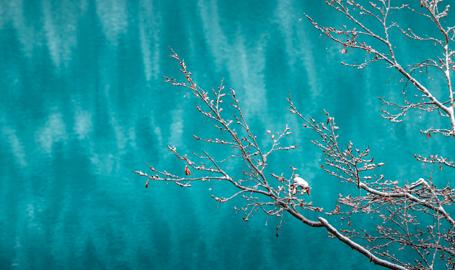 Make: NIKON CORPORATION
Model: NIKON Z 5
DateTimeOriginal: 2025:01:25 11:42:49
ISOSpeedRatings: 280
LensModel: TAMRON 70-300mm F/4.5-6.3 Di III RXD A047Z
ExposureTime: 0.005
FocalLength: 123.0
FNumber: 9.0
