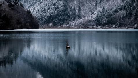 Make: NIKON CORPORATION
Model: NIKON Z 5
DateTimeOriginal: 2025:01:25 11:29:36
ISOSpeedRatings: 125
LensModel: TAMRON 70-300mm F/4.5-6.3 Di III RXD A047Z
ExposureTime: 0.003125
FocalLength: 112.0
FNumber: 7.1
