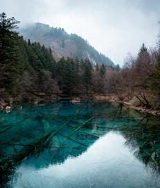 Make: NIKON CORPORATION
Model: NIKON Z 5
DateTimeOriginal: 2025:01:24 13:09:15
ISOSpeedRatings: 160
LensModel: NIKKOR Z 24-50mm f/4-6.3
ExposureTime: 0.005
FocalLength: 24.0
FNumber: 4.5
