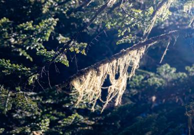 Make: NIKON CORPORATION
Model: NIKON Z 5
DateTimeOriginal: 2025:01:22 11:05:51
ISOSpeedRatings: 1400
LensModel: TAMRON 70-300mm F/4.5-6.3 Di III RXD A047Z
ExposureTime: 0.002
FocalLength: 142.0
FNumber: 6.3
