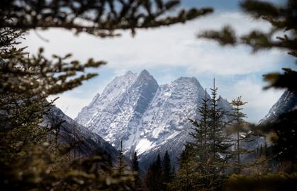 Make: NIKON CORPORATION
Model: NIKON Z 5
DateTimeOriginal: 2025:01:20 12:54:00
ISOSpeedRatings: 200
LensModel: TAMRON 70-300mm F/4.5-6.3 Di III RXD A047Z
ExposureTime: 0.0015625
FocalLength: 85.0
FNumber: 10.0
