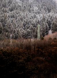 Make: NIKON CORPORATION
Model: NIKON Z 5
DateTimeOriginal: 2025:01:25 14:31:28
ISOSpeedRatings: 320
LensModel: TAMRON 70-300mm F/4.5-6.3 Di III RXD A047Z
ExposureTime: 0.003125
FocalLength: 70.0
FNumber: 8.0