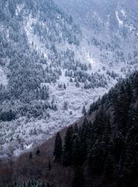 Make: NIKON CORPORATION
Model: NIKON Z 5
DateTimeOriginal: 2025:01:25 10:16:50
ISOSpeedRatings: 320
LensModel: TAMRON 70-300mm F/4.5-6.3 Di III RXD A047Z
ExposureTime: 0.00625
FocalLength: 70.0
FNumber: 8.0
