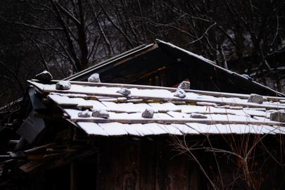 Make: NIKON CORPORATION
Model: NIKON Z 5
DateTimeOriginal: 2025:01:25 10:35:05
ISOSpeedRatings: 110
LensModel: TAMRON 70-300mm F/4.5-6.3 Di III RXD A047Z
ExposureTime: 0.003125
FocalLength: 96.0
FNumber: 4.8