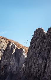 Make: NIKON CORPORATION
Model: NIKON Z 5
DateTimeOriginal: 2025:01:21 12:01:42
ISOSpeedRatings: 900
LensModel: TAMRON 70-300mm F/4.5-6.3 Di III RXD A047Z
ExposureTime: 0.002
FocalLength: 70.0
FNumber: 9.0
