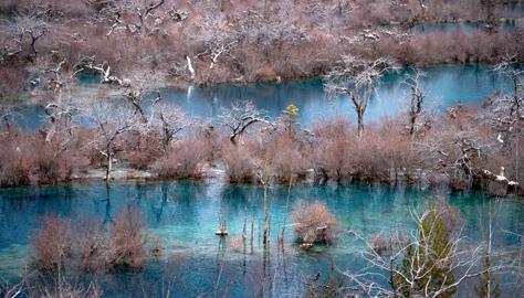 Make: NIKON CORPORATION
Model: NIKON Z 5
DateTimeOriginal: 2025:01:25 10:14:23
ISOSpeedRatings: 1100
LensModel: TAMRON 70-300mm F/4.5-6.3 Di III RXD A047Z
ExposureTime: 0.003125
FocalLength: 137.0
FNumber: 5.0
