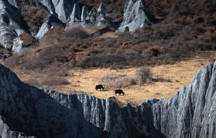 Make: NIKON CORPORATION
Model: NIKON Z 5
DateTimeOriginal: 2025:01:21 11:56:50
ISOSpeedRatings: 400
LensModel: TAMRON 70-300mm F/4.5-6.3 Di III RXD A047Z
ExposureTime: 0.002
FocalLength: 166.0
FNumber: 9.0
