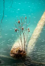 Make: NIKON CORPORATION
Model: NIKON Z 5
DateTimeOriginal: 2025:01:25 13:31:08
ISOSpeedRatings: 1000
LensModel: TAMRON 70-300mm F/4.5-6.3 Di III RXD A047Z
ExposureTime: 0.0025
FocalLength: 130.0
FNumber: 5.6
