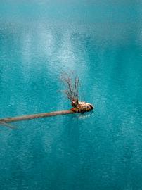 Make: NIKON CORPORATION
Model: NIKON Z 5
DateTimeOriginal: 2025:01:25 11:19:58
ISOSpeedRatings: 400
LensModel: TAMRON 70-300mm F/4.5-6.3 Di III RXD A047Z
ExposureTime: 0.003125
FocalLength: 93.0
FNumber: 7.1
