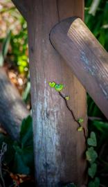 Make: NIKON CORPORATION
Model: NIKON Z 5
DateTimeOriginal: 2025:02:13 14:45:52
ISOSpeedRatings: 280
LensModel: TAMRON 70-300mm F/4.5-6.3 Di III RXD A047Z
ExposureTime: 0.00625
FocalLength: 164.0
FNumber: 5.3
