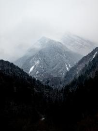 Make: NIKON CORPORATION
Model: NIKON Z 5
DateTimeOriginal: 2025:01:25 14:38:20
ISOSpeedRatings: 250
LensModel: TAMRON 70-300mm F/4.5-6.3 Di III RXD A047Z
ExposureTime: 0.003125
FocalLength: 74.0
FNumber: 10.0