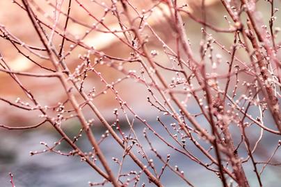 Make: NIKON CORPORATION
Model: NIKON Z 5
DateTimeOriginal: 2025:01:25 14:45:25
ISOSpeedRatings: 2200
LensModel: TAMRON 70-300mm F/4.5-6.3 Di III RXD A047Z
ExposureTime: 0.003125
FocalLength: 300.0
FNumber: 10.0
