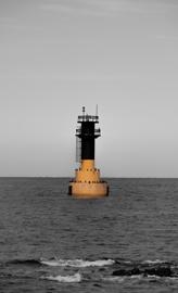 Make: NIKON CORPORATION
Model: NIKON Z 5
DateTimeOriginal: 2025:02:14 12:59:08
ISOSpeedRatings: 100
LensModel: TAMRON 70-300mm F/4.5-6.3 Di III RXD A047Z
ExposureTime: 0.0015625
FocalLength: 144.0
FNumber: 8.0
