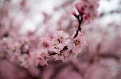 Make: NIKON CORPORATION
Model: NIKON Z 5
DateTimeOriginal: 2025:03:15 18:27:28
ISOSpeedRatings: 2800
LensModel: NIKKOR Z 24-120mm f/4 S
ExposureTime: 0.008
FocalLength: 76.0
FNumber: 4.0
