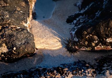 Make: NIKON CORPORATION
Model: NIKON Z 5
DateTimeOriginal: 2025:02:13 17:34:25
ISOSpeedRatings: 180
LensModel: TAMRON 70-300mm F/4.5-6.3 Di III RXD A047Z
ExposureTime: 0.003125
FocalLength: 100.0
FNumber: 4.8
