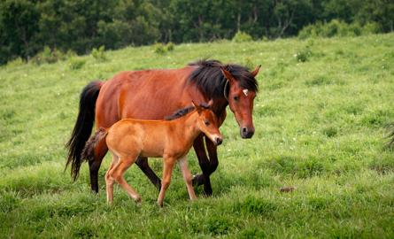 Make: NIKON CORPORATION
Model: NIKON Z 5
DateTimeOriginal: 2025:06:28 14:39:08
ISOSpeedRatings: 125
LensModel: NIKKOR Z 24-120mm f/4 S
ExposureTime: 0.004
FocalLength: 120.0
FNumber: 4.5
