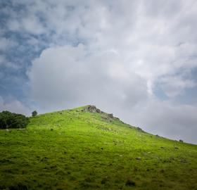 Make: NIKON CORPORATION
Model: NIKON Z 5
DateTimeOriginal: 2025:06:28 15:31:53
ISOSpeedRatings: 125
LensModel: NIKKOR Z 24-120mm f/4 S
ExposureTime: 0.0015625
FocalLength: 24.0
FNumber: 5.6
