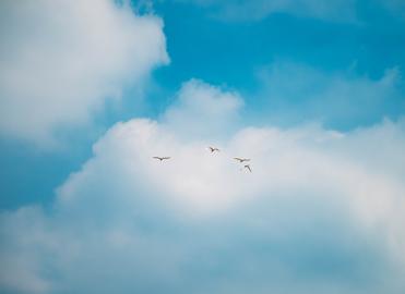 Make: NIKON CORPORATION
Model: NIKON Z 5
DateTimeOriginal: 2025:08:01 12:46:43
ISOSpeedRatings: 100
LensModel: NIKKOR Z 24-120mm f/4 S
ExposureTime: 0.001
FocalLength: 120.0
FNumber: 4.0
