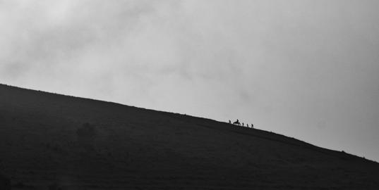 Make: NIKON CORPORATION
Model: NIKON Z 5
DateTimeOriginal: 2025:07:19 14:57:31
ISOSpeedRatings: 100
LensModel: NIKKOR Z 24-120mm f/4 S
ExposureTime: 0.003125
FocalLength: 86.0
FNumber: 6.3
