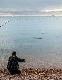 Make: NIKON CORPORATION
Model: NIKON Z 5
DateTimeOriginal: 2025:10:03 15:35:13
ISOSpeedRatings: 500
LensModel: NIKKOR Z 24-120mm f/4 S
ExposureTime: 0.0005
FocalLength: 46.0
FNumber: 4.0
