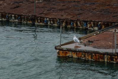 Make: NIKON CORPORATION
Model: NIKON Z 5
DateTimeOriginal: 2025:10:06 11:26:00
ISOSpeedRatings: 500
LensModel: NIKKOR Z 24-120mm f/4 S
ExposureTime: 0.005
FocalLength: 120.0
FNumber: 5.0
