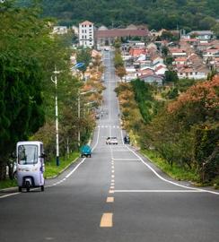 Make: NIKON CORPORATION
Model: NIKON Z 5
DateTimeOriginal: 2025:10:03 16:45:49
ISOSpeedRatings: 12800
LensModel: NIKKOR Z 24-120mm f/4 S
ExposureTime: 0.0004
FocalLength: 120.0
FNumber: 5.6
