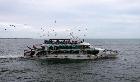 Make: NIKON CORPORATION
Model: NIKON Z 5
DateTimeOriginal: 2025:10:03 07:54:37
ISOSpeedRatings: 160
LensModel: NIKKOR Z 24-120mm f/4 S
ExposureTime: 0.001
FocalLength: 24.0
FNumber: 4.5
